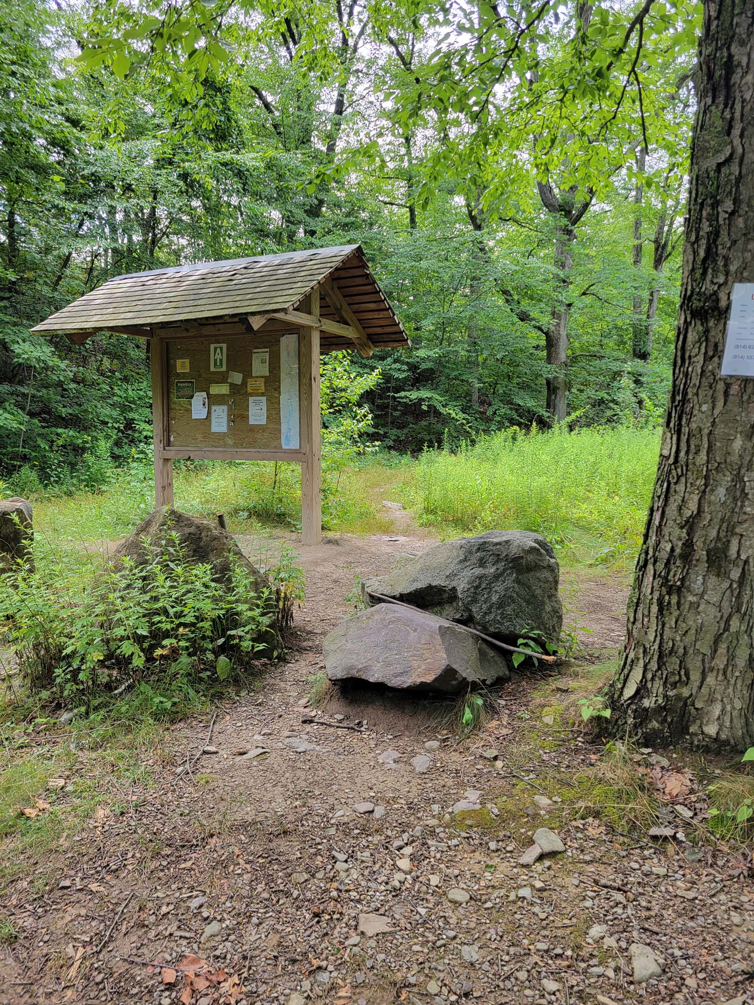 mm 0.0 Southbound trailhead begins at kiosk directly in front of AT parking area  Courtesy cabincellars@yahoo.com