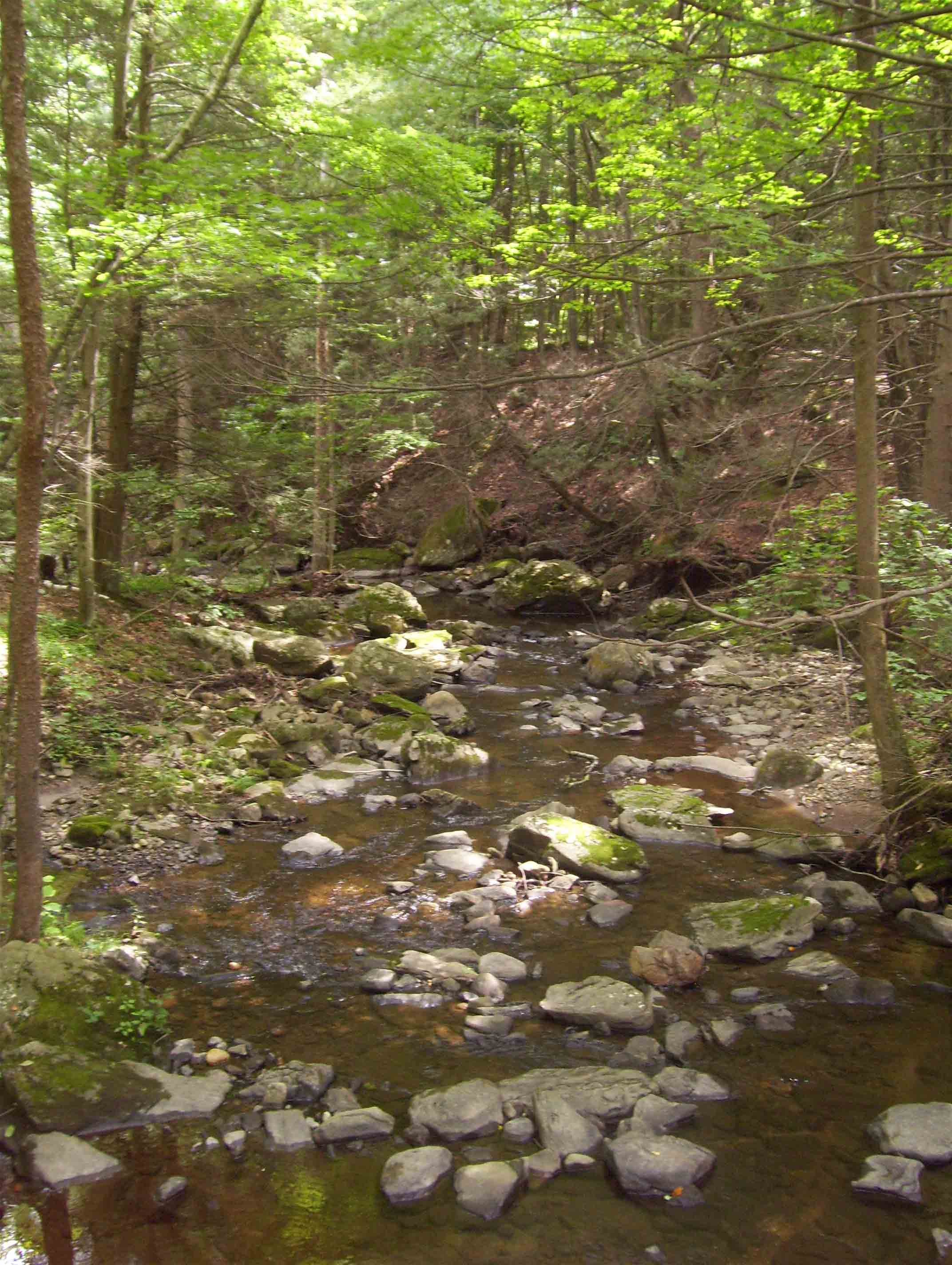 mm 0.7 Duell Hollow Brook from foot bridge.  Courtesy dlcul@conncoll.edu