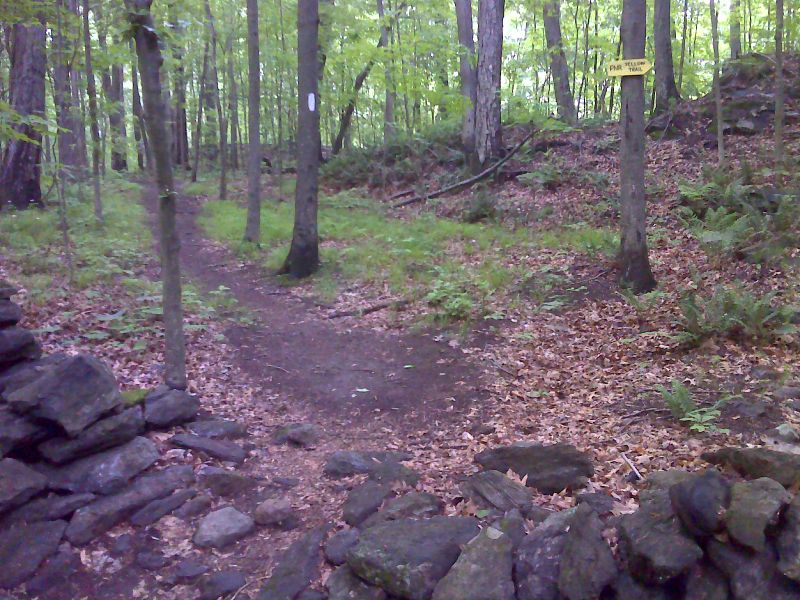 mm 3.3 Junction with Yellow Trail.  This trail, which is not connected to the one further south,  leads 0.7 miles to a parking  area at the north entrance to the Pawling Nature Reserve.  GPS N41.6246 W73.5541  Courtesy pjwetzel@gmail.com