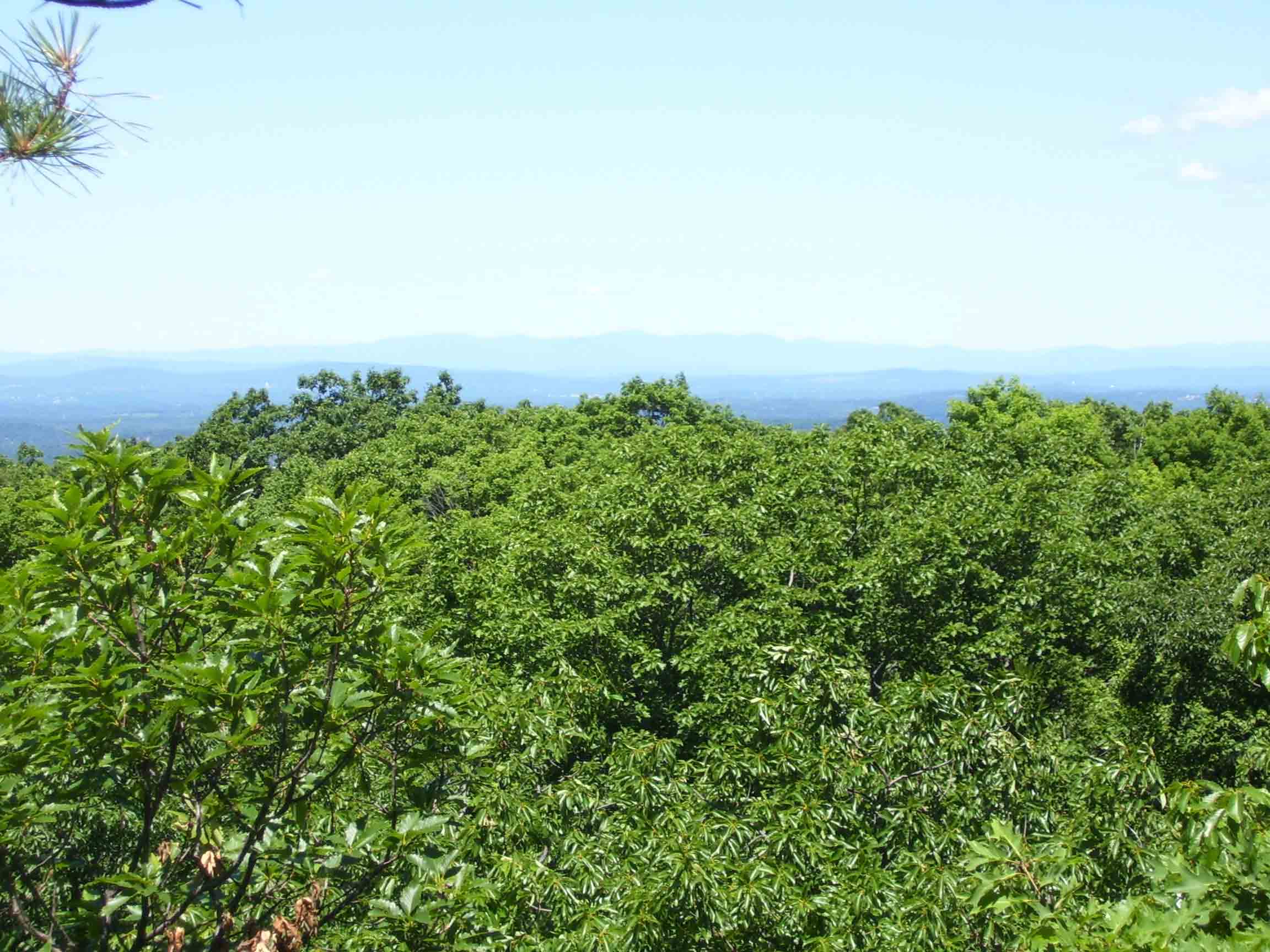 View to northwest from outlook ledge on Mt. Egbert (Mile 3.6). Barely visible in far distance are the Catskills.  Courtesy dlcul@conncoll.edu