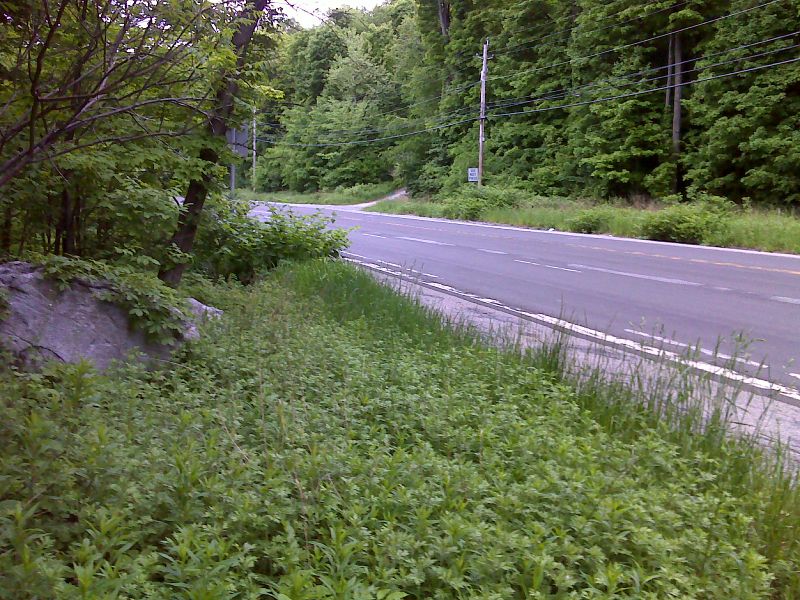 mm 0.0  AT crossing of US 52.  The driveway on the right is the entrance to the parking area (See NY Section 4). GPS N41.5406 W73.7331  Courtesy pjwetzel@gmail.com