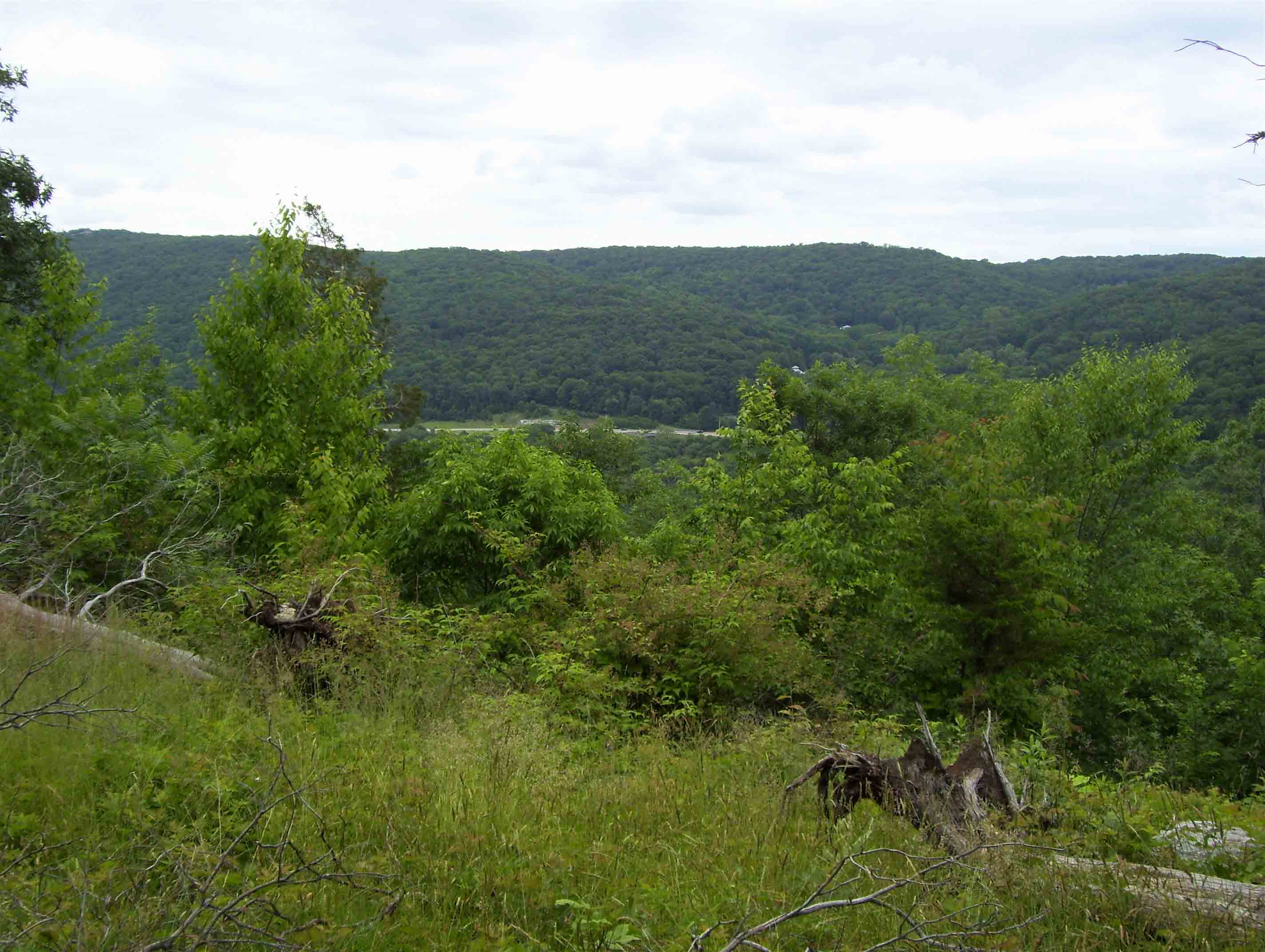 mm 1.3 Late spring view towards Taconic Parkway and Hosner Mt.   Courtesy dlcul@conncoll.edu