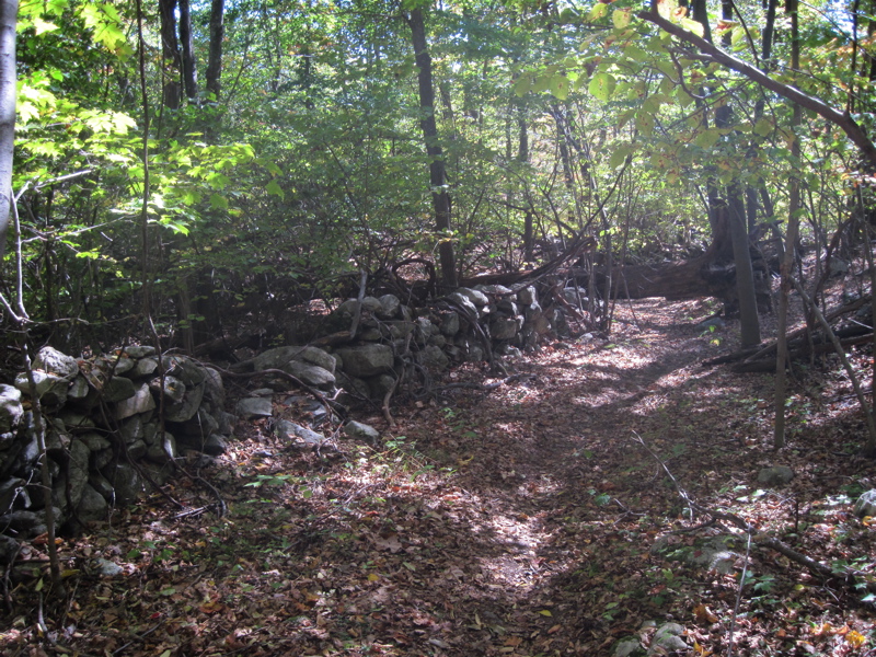 mm 3.5  The trail follows an old road for some distance south of Shenandoah Mt., at one point passing this impressive rock wall.    Courtesy dlcul@conncoll.edu