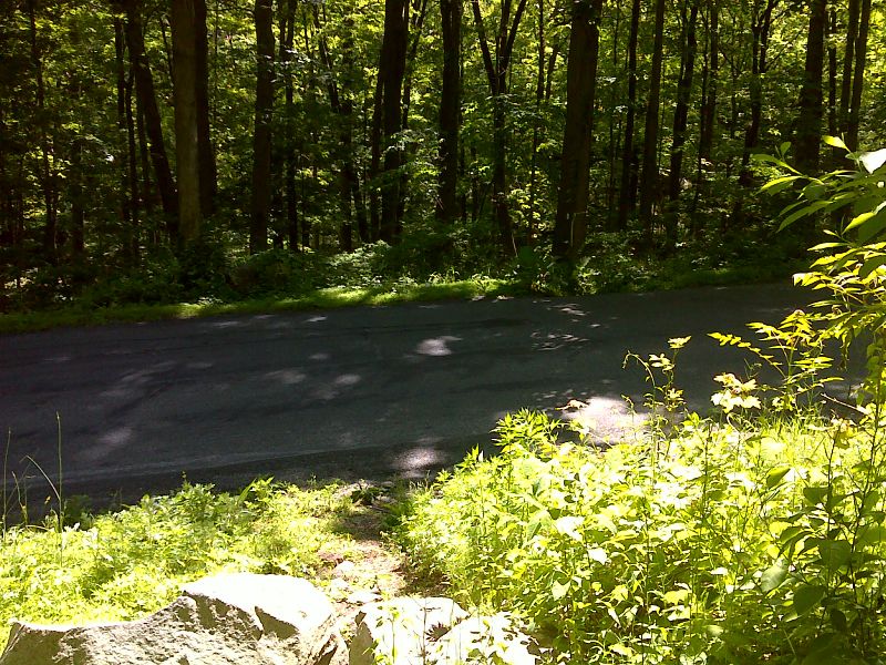 mm 0.0 Trail crossing of Canopus Hill road.  No parking here.  GPS N41.3875 W73.8788  Courtesy pjwetzel@gmail.com