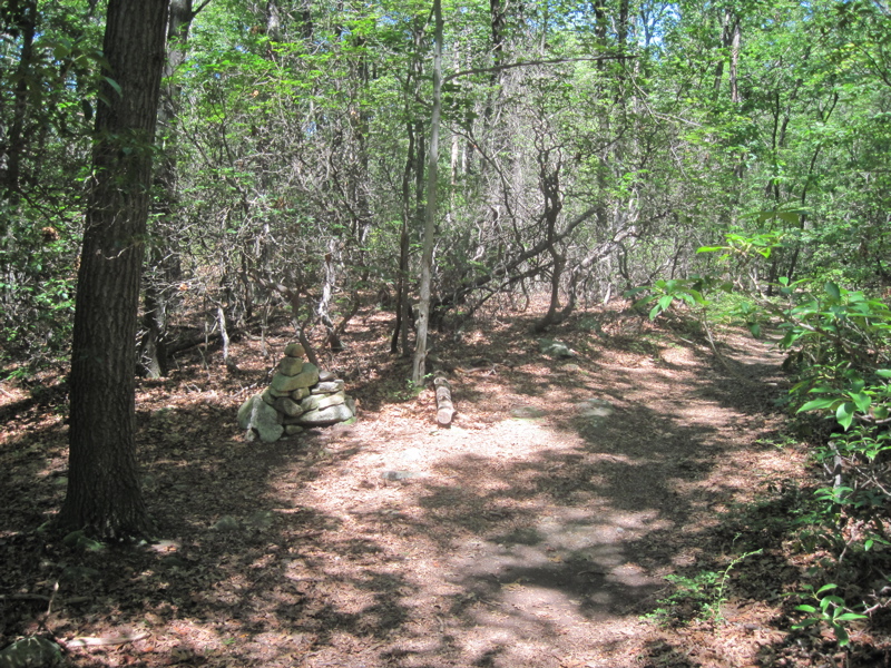 mm 1.9  Intersection of the AT with the Curry Pond trail.  Courtesy dlcul@conncoll.edu