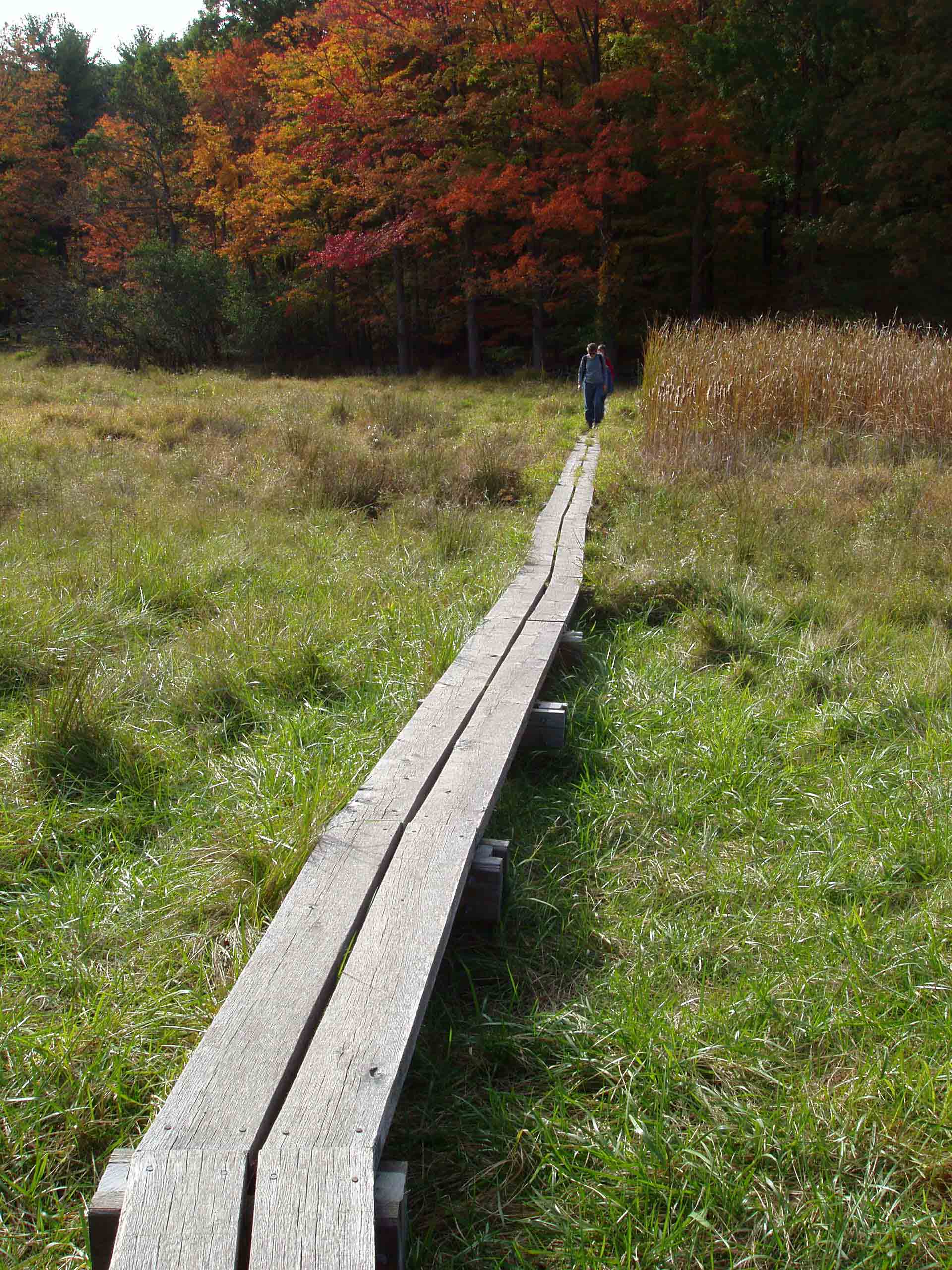 mm 0.1 - Plank walk over wetlands on the southern side of Route US 9 in New York just after the trail head.  Courtesy froto