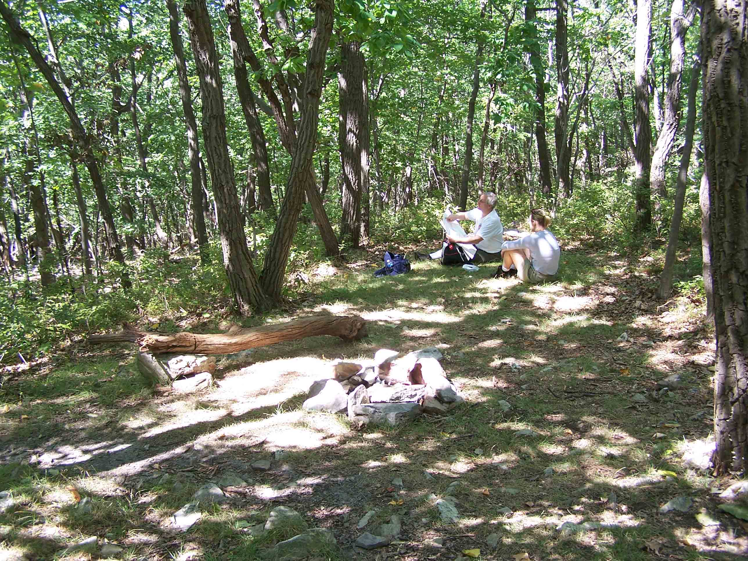 Campsite between Wolf Rocks and Wind Gap. Courtesy at@rohland.org