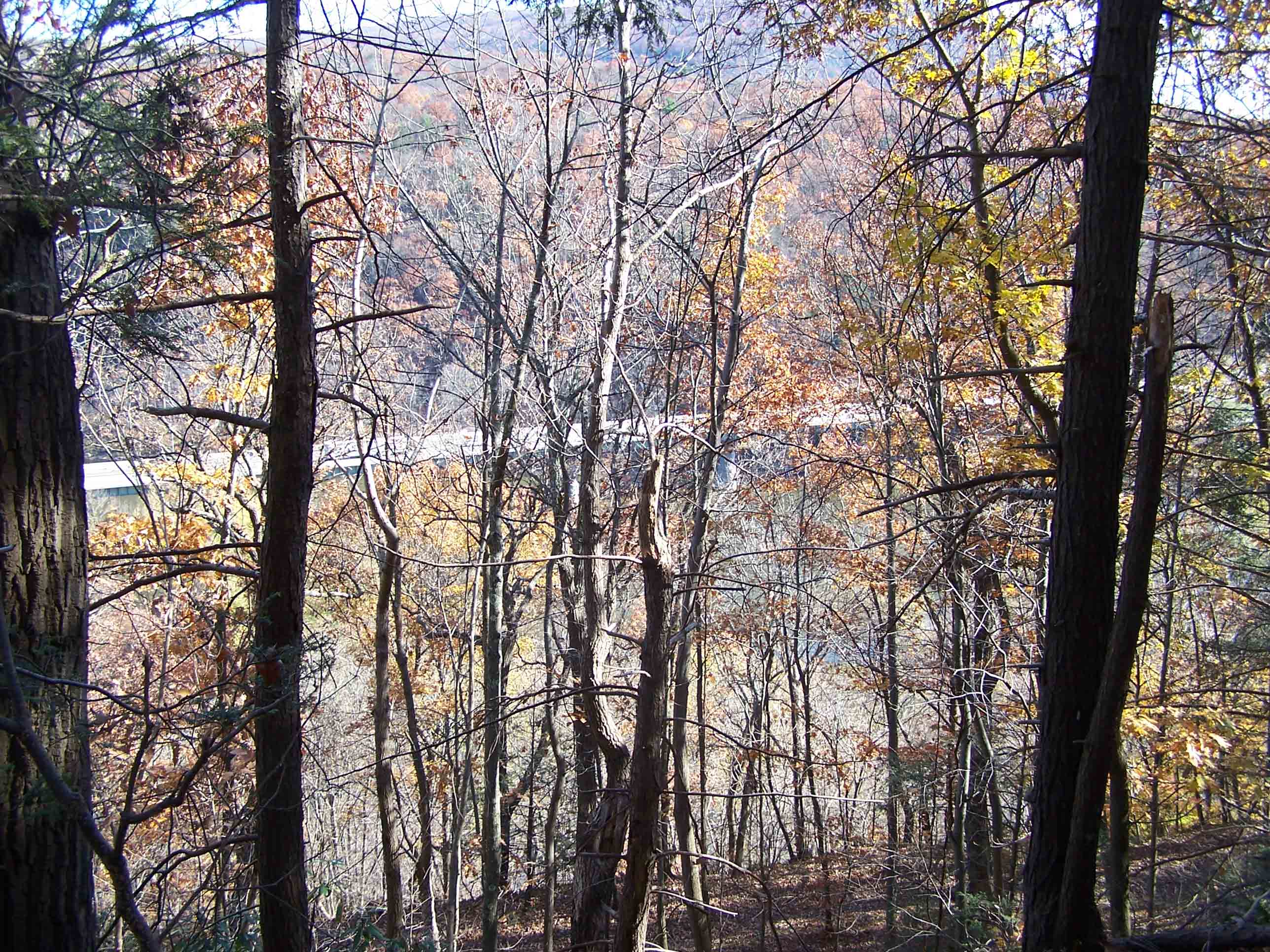 mm 0.8 - View of AT trail over the Delaware River. Courtesy at@rohland.org