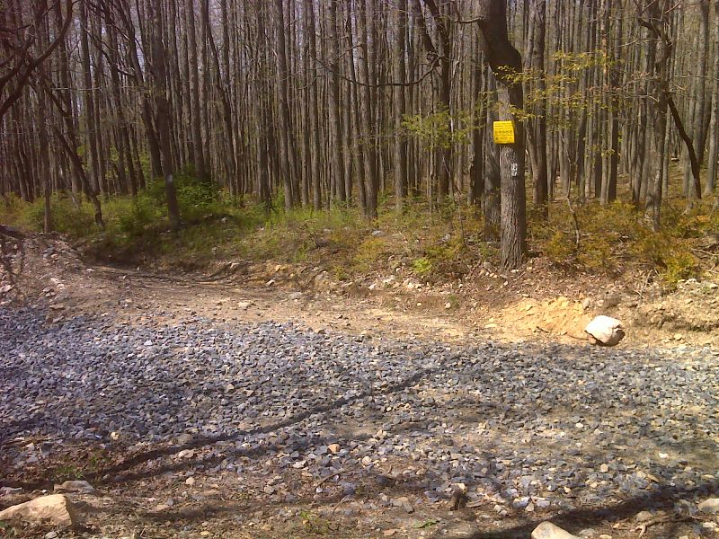 mm 13.7  Trail crosses a gravel road.  GPS N40.8795 W75.2734  Courtesy pjwetzel@gmail.com