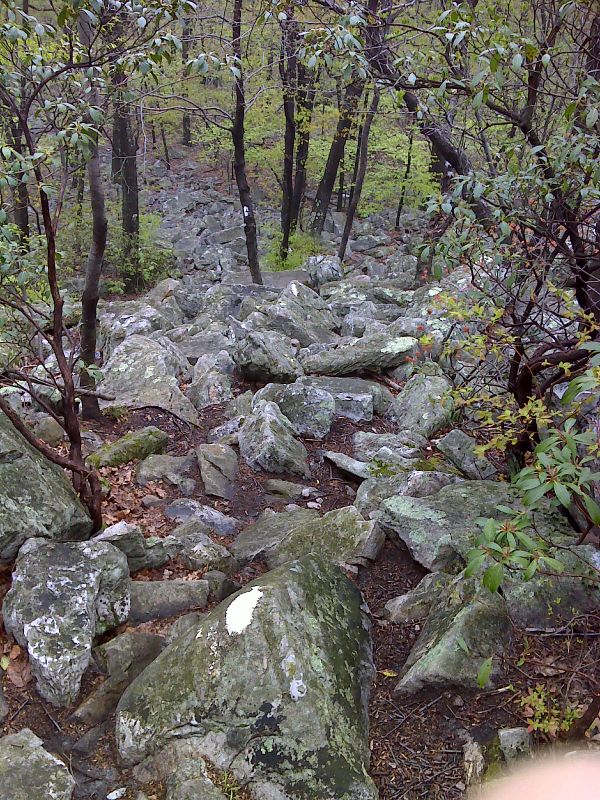 mm 8.8 The trail climbs up these rocks as the southbound trail approaches Wolf Rocks.   GPS 40.9260 W75.2202  Courtesy pjwetzel@gmail.com
