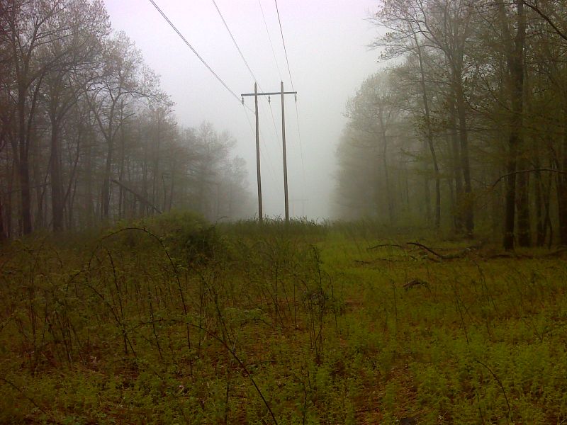 mm 8.6 Power line right-of-way in the fog with a resultant poor view. GPS N40.9285 W75.2184   Courtesy pjwetzel@gmail.com