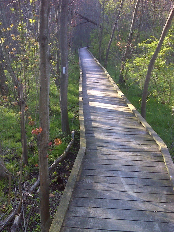 Handicapped accessible elevated walkway along Conodoguinet Creek. GPS  N40.2590 W 77.1022  Courtesy pjwetzel@gmail.com