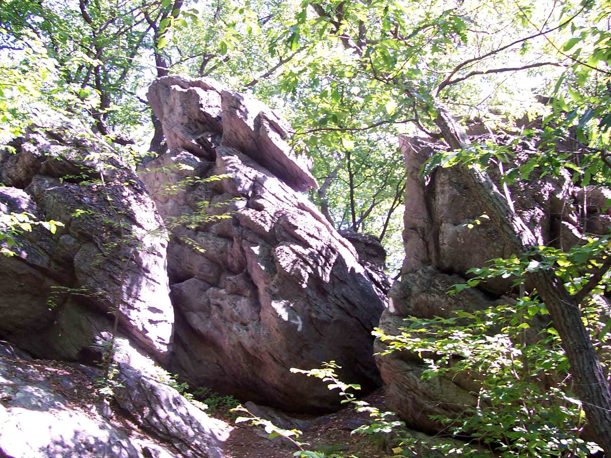 One of the many rock jumbles west (trail south) of Whiskey Springs Road. The trail works its way through this one.   Courtesy dlcul@conncoll.edu