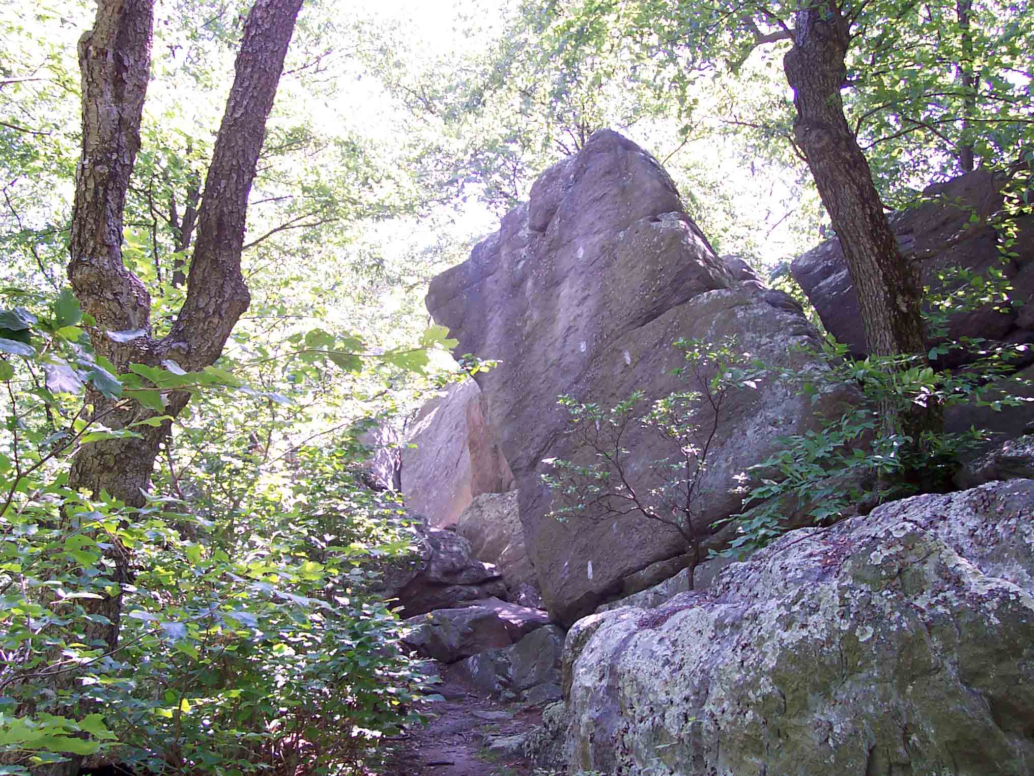 West (trail south) of Whiskey Springs Road the trail follows a rocky ridge. In many cases it goes around and through rock jumbles.  Courtesy dlcul@conncoll.edu