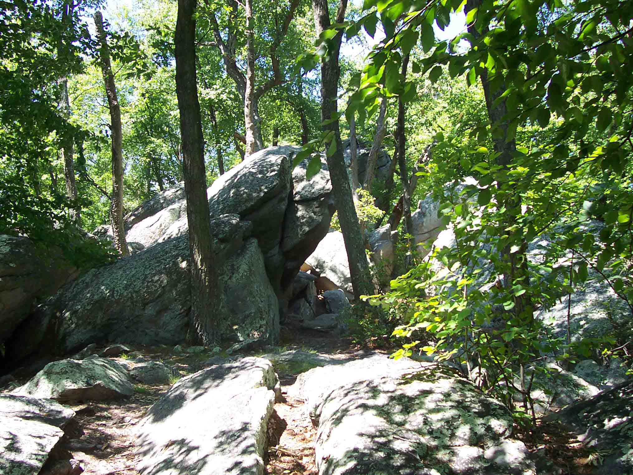 West (trail south) of Whiskey Springs Road the trail follows a rocky ridge. In many cases it goes around and through rock jumbles. Taken at approx. MM 6.3.  Courtesy dlcul@conncoll.edu