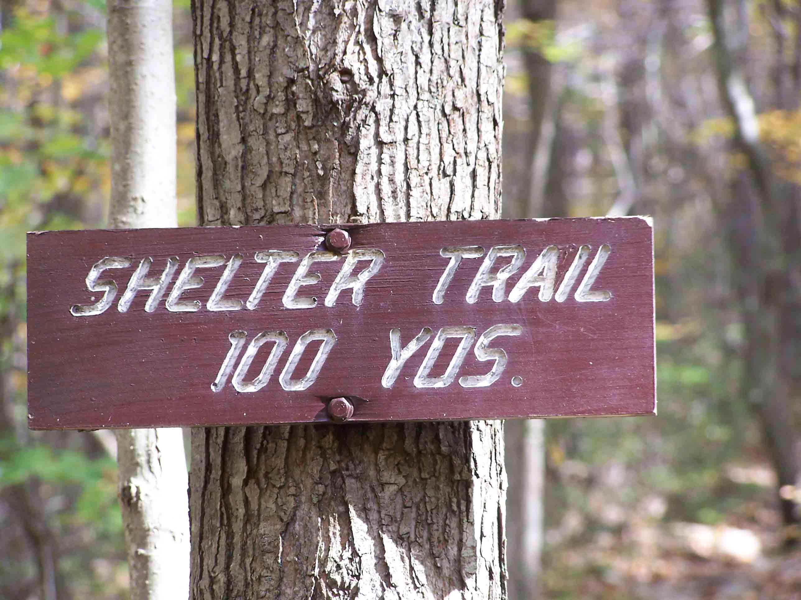 mm 3.9 - Trail to Alec Kennedy Shelter. Courtesy at@rohland.org