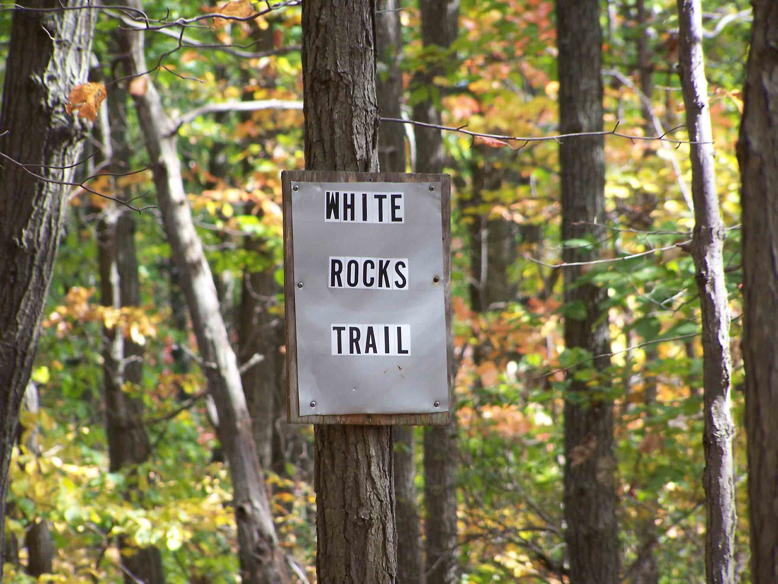 Junction with the blue- blazed White Rocks Trail. Taken at approx. mm 3.1. Courtesy at@rohland.org