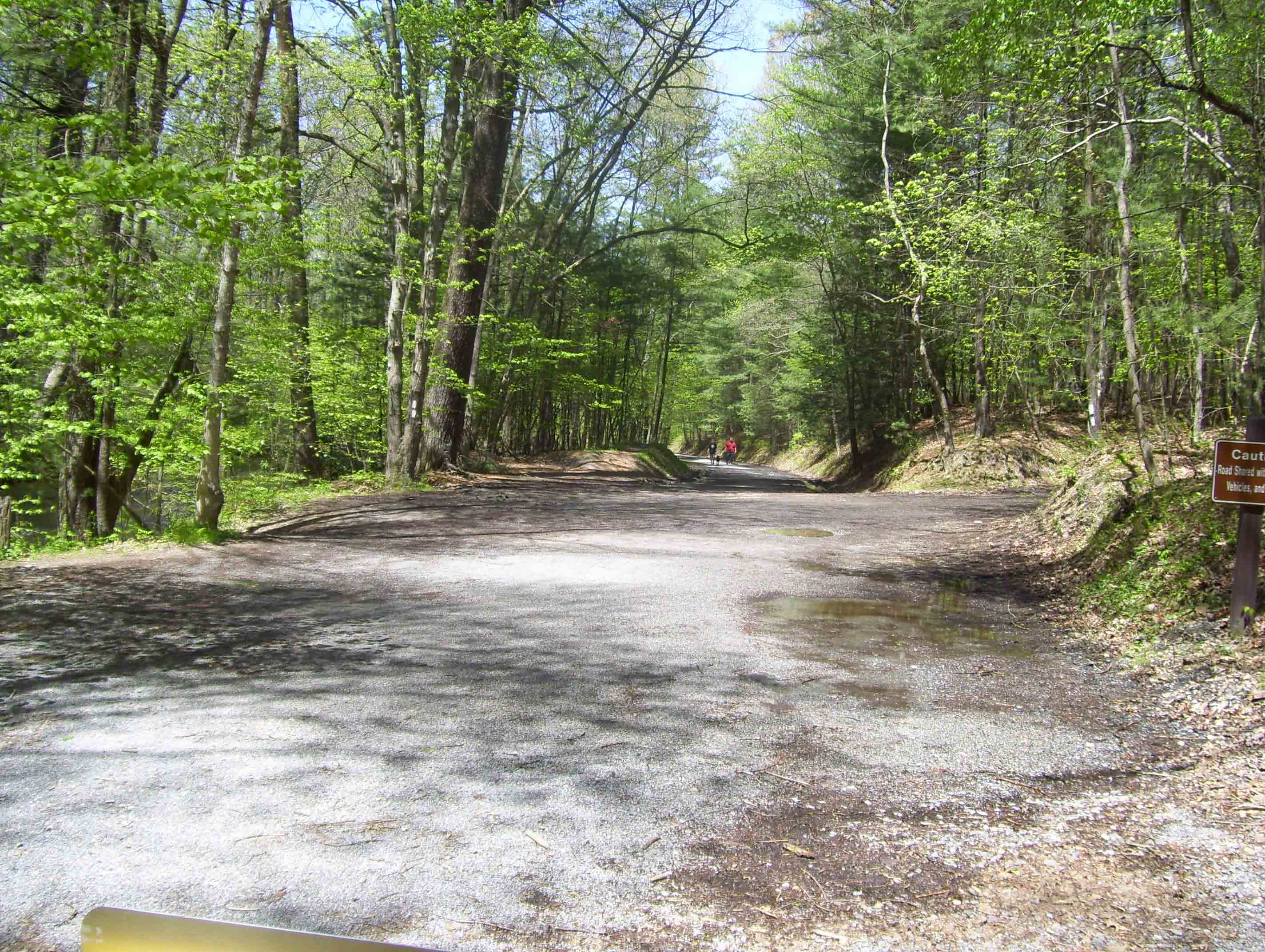 MM 9.5.  This is the parking area at the end of the portion of the old railroad bed road that is accessible to vehicles. The northbound AT follow the old road that leaves to the right.   Courtesy dlcul@conncoll.edu