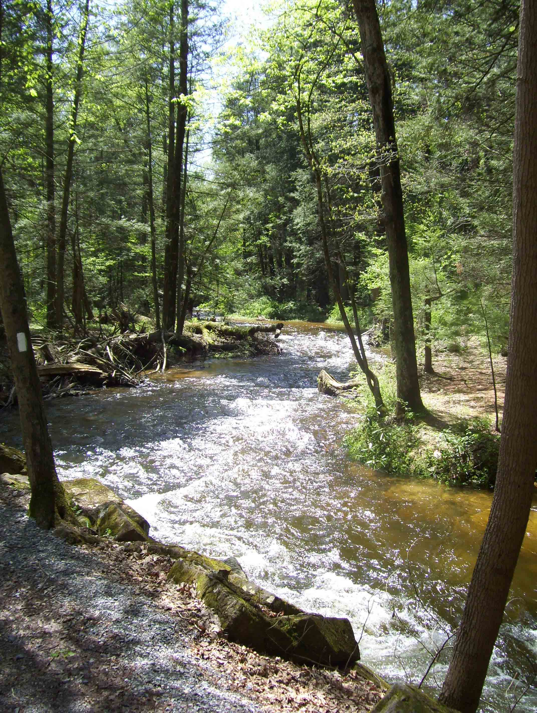 For much of the distance through Pine Grove Furnace State park, the trail parallels Mountain Creek. Taken at approx. mm 9.7.  Courtesy dlcul@conncoll.edu