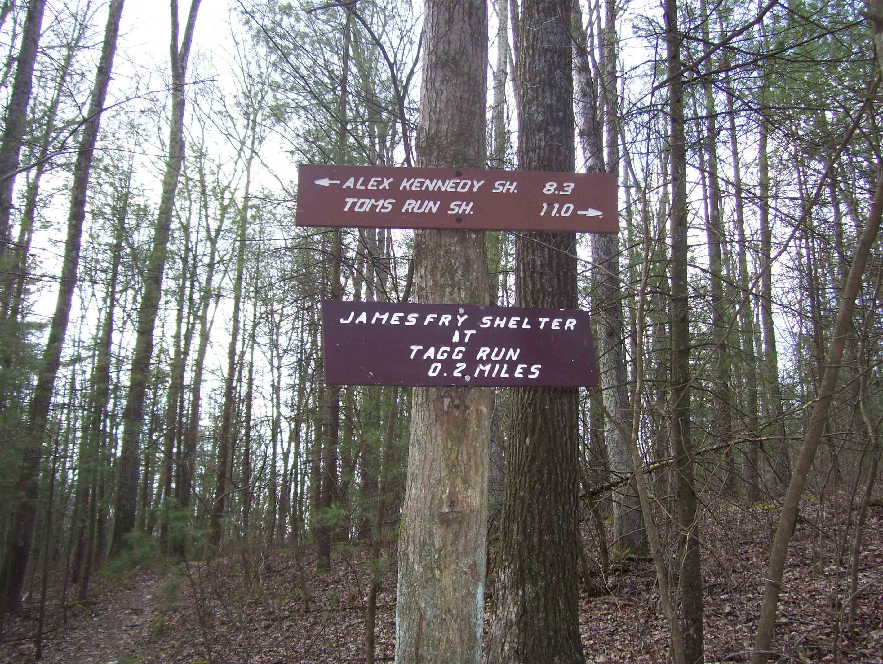 mm 3.2  New sign (2008) at the blue-blazed trail to the former Tagg Run Shelter, now called the James Fry Shelter at Tagg Run.  Courtesy dlcul@conncoll.edu