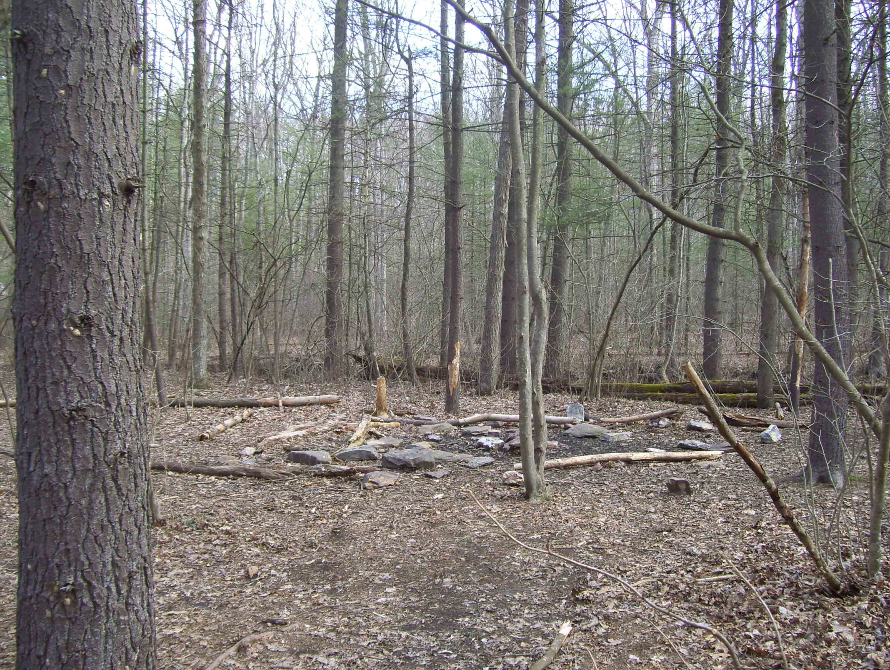 mm 3.2  Campsite near the intersection with the trail to James Fry (Tagg Run) Shelter.  Courtesy dlcul@conncoll.edu