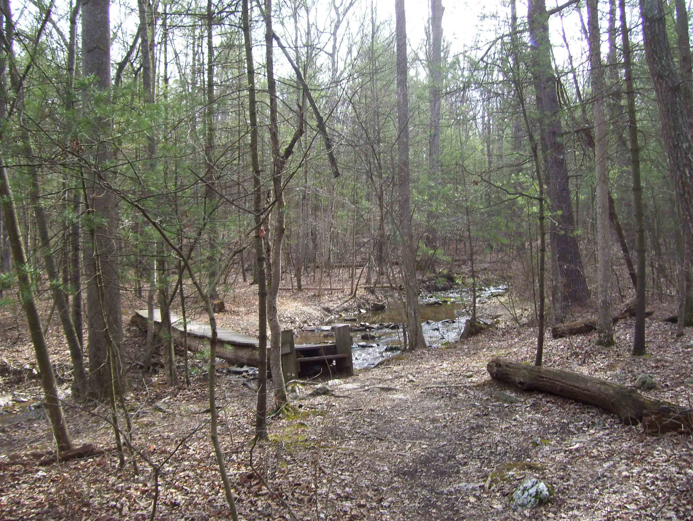 mm 3.2  Trail crossing of picturesque but polluted Tagg Run.Taken in 2008.  Courtesy dlcul@conncoll.edu