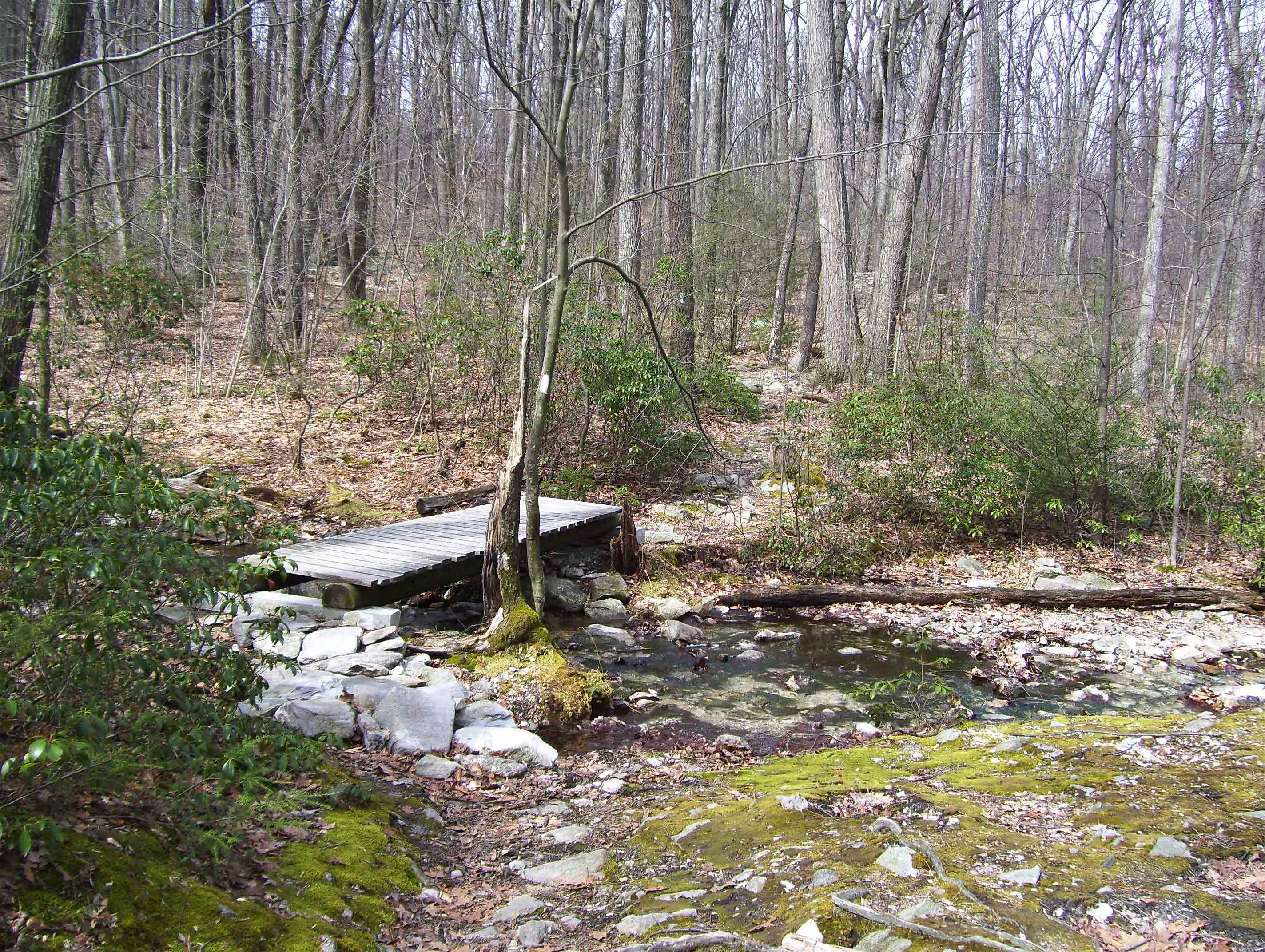 mm 3.4  Southern crossing of Toms Run just trail south of Toms Run Shelters.  Courtesy dlcul@conncoll.edu