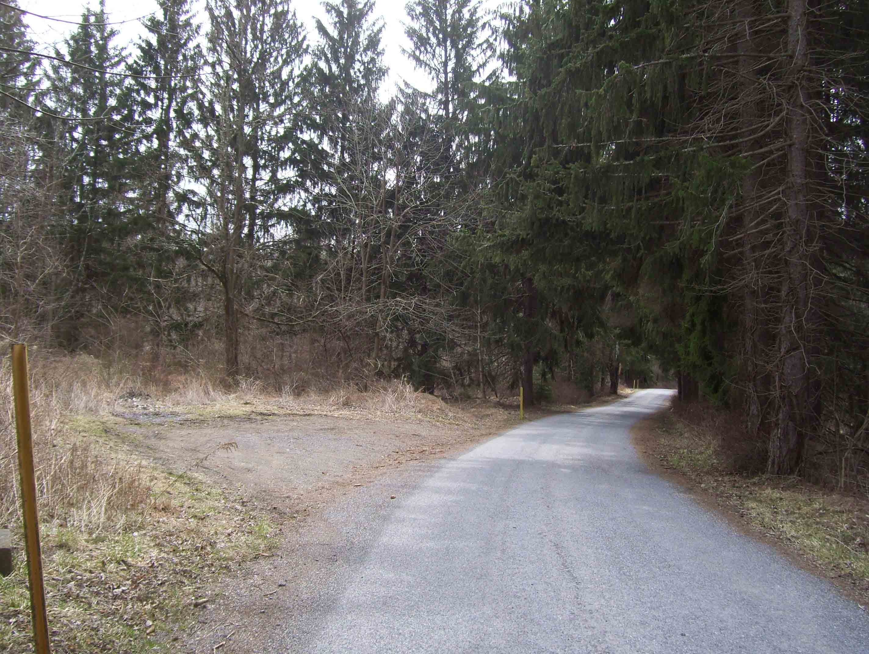 mm 2.0  Michaux Road.  Note parking area on left.   The southbound trail follows Michaux Road for 0.2 miles, then goes left into the old Camp Michaux area.  This parking area is a bit further straight ahead on Michaux Road,  just before the intersection with Bunker Hill Road.  
  Courtesy dlcul@conncoll.edu