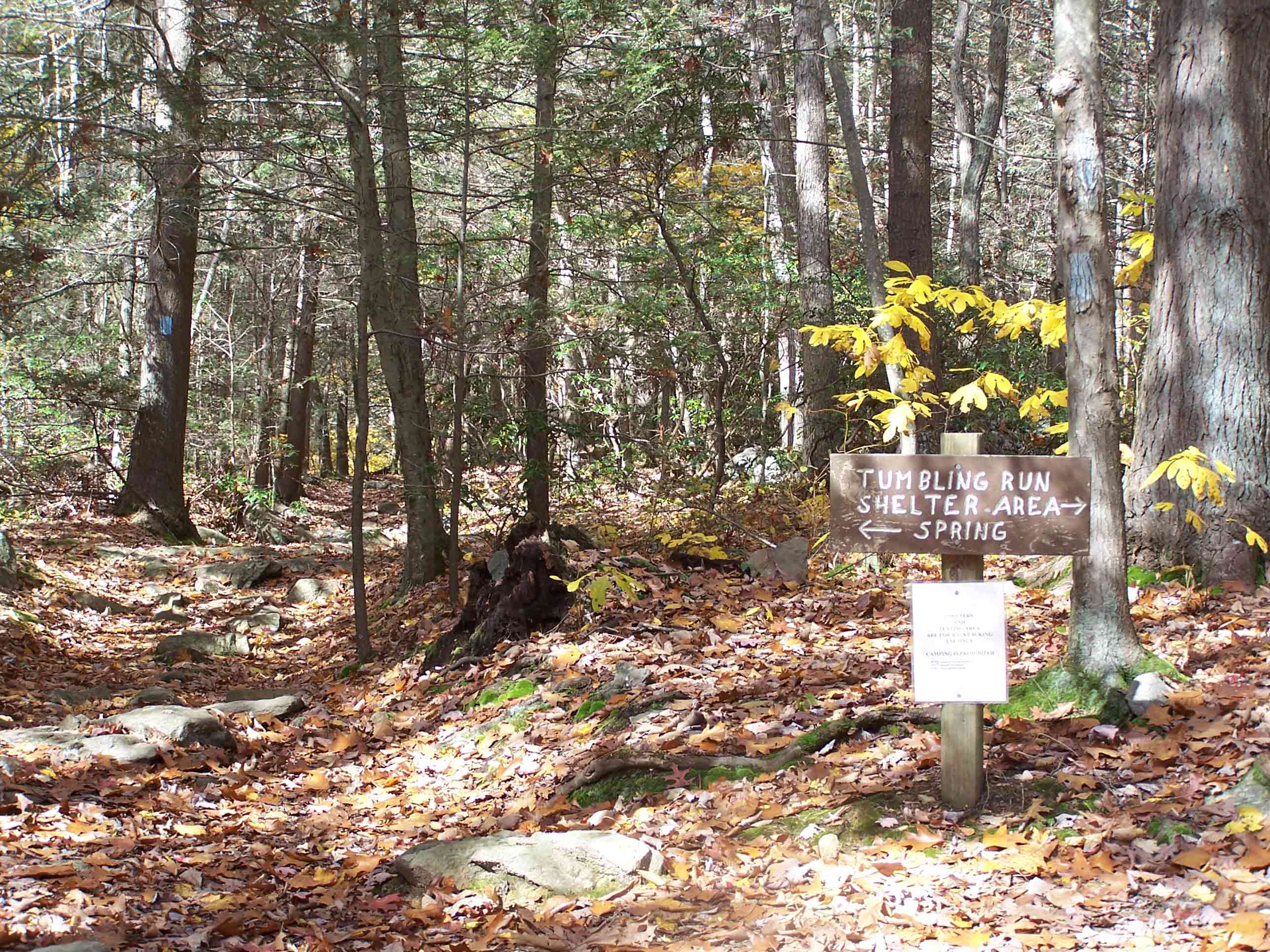 Sign for Tumbling Run Shelter - just North of Old Forge Road. Courtesy at@rohland.org