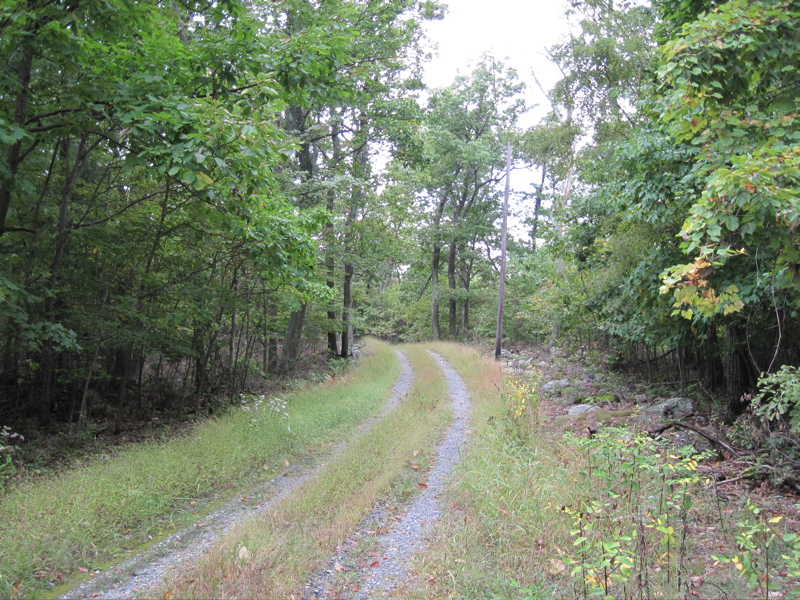 mm 3.2  Trail crosses a gravel maintenance road.  Courtesy
dlcul@conncoll.edu