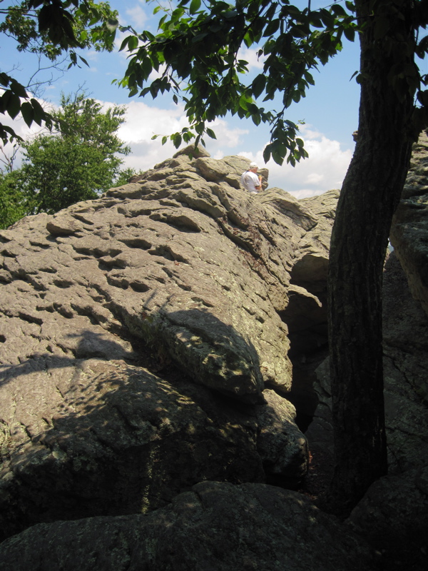 mm 8.3  Barry on Chimney Rocks.  Courtesy dlcul@conncoll.edu