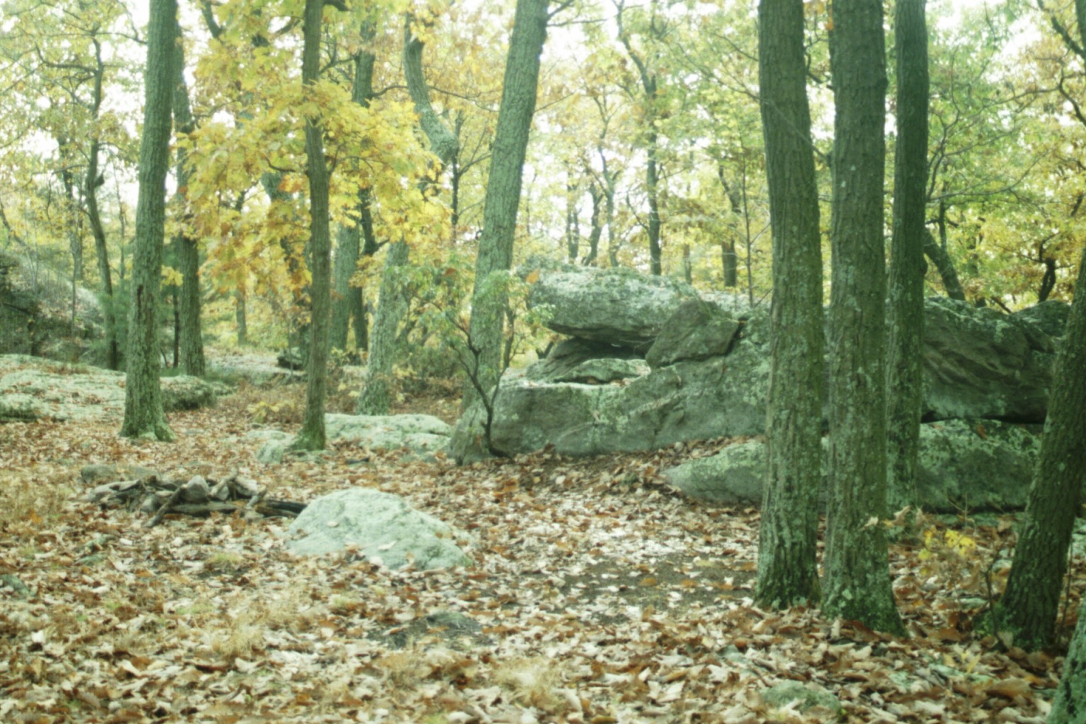 Trail south of Chimney Rocks. Courtesy at@rohland.org