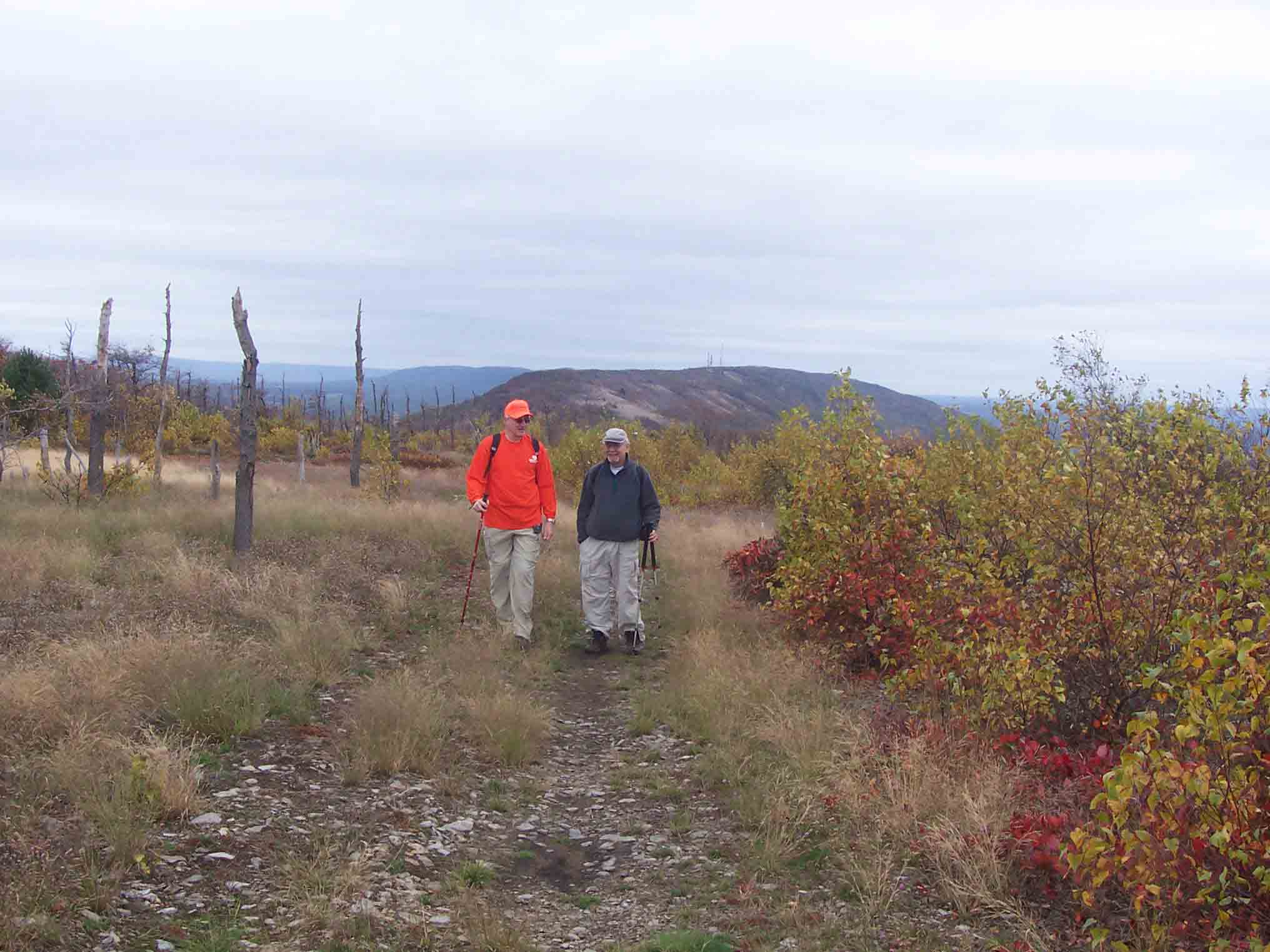 David, Barry on Trail along ridge between Lehigh Gap and Powerlines. The southbound trail from here eventually descends into Lehigh Gap then climbs to the ridge in the background.    Courtesy dlcul@conncoll.edu