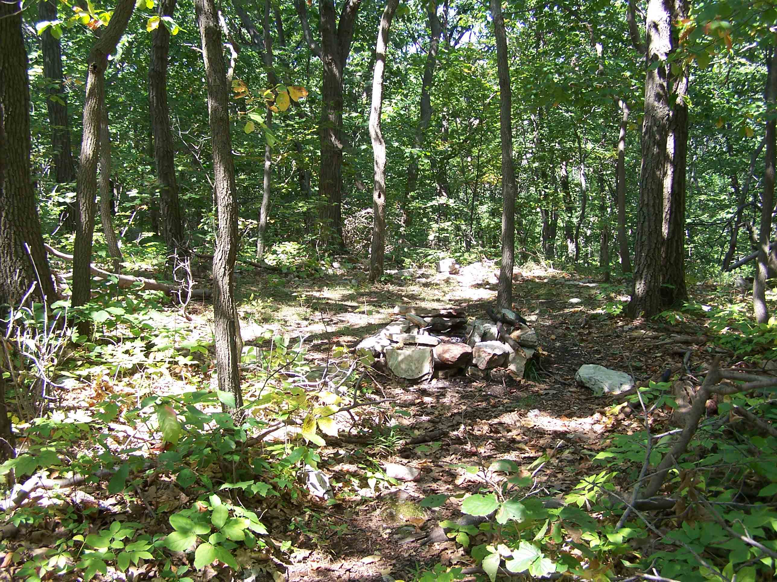 Campsite between Smith Gap and Delps Side Trail. Courtesy at@rohland.org
