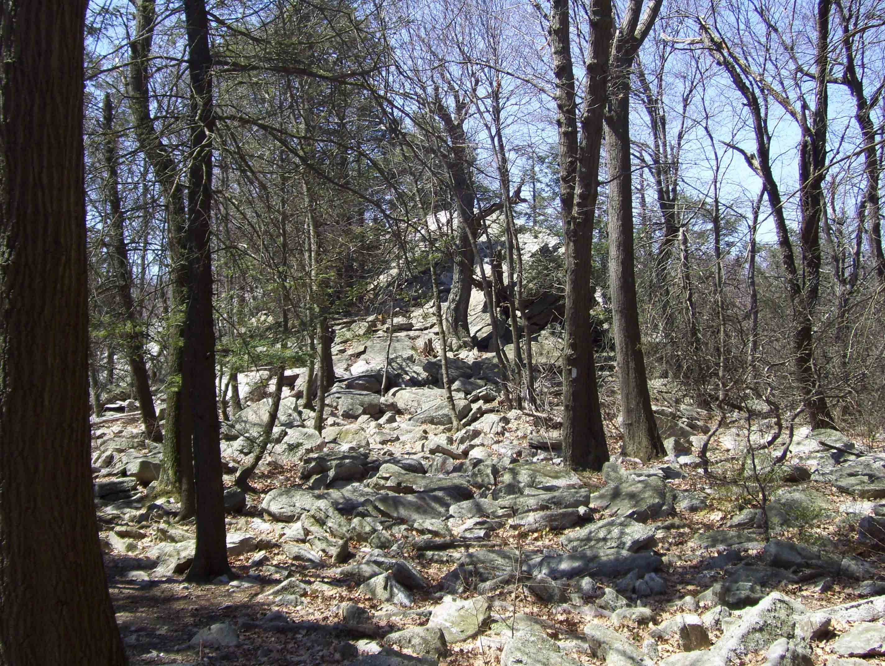 Approaching east (trail north) end of the knife-edge ridge known as "The Cliffs" (MM 10.5).  Courtesy dlcul@conncoll.edu