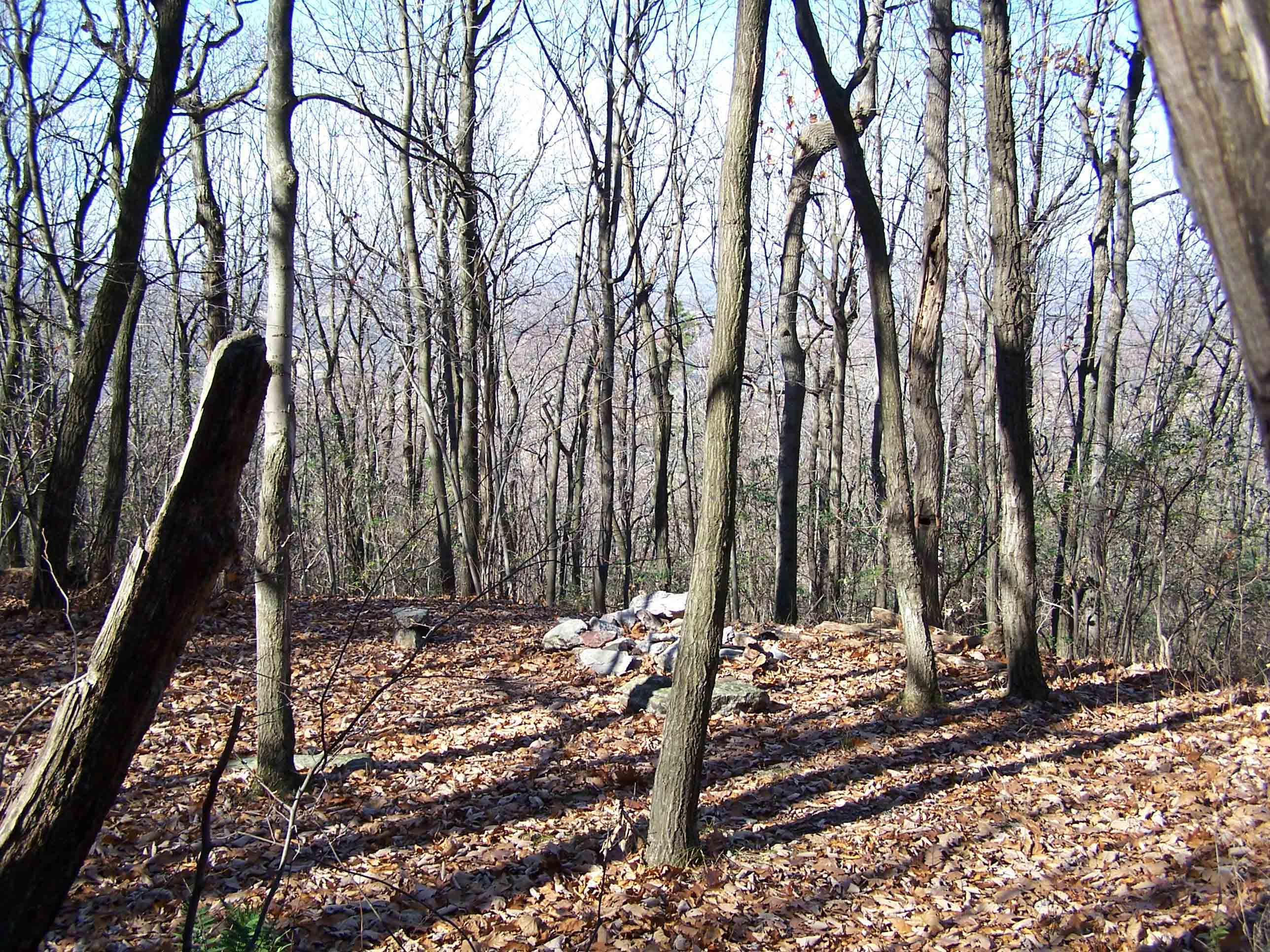 Campsite on trail between Lehigh Furnace Gap and Bake Oven Knob. Courtesy at@rohland.org
