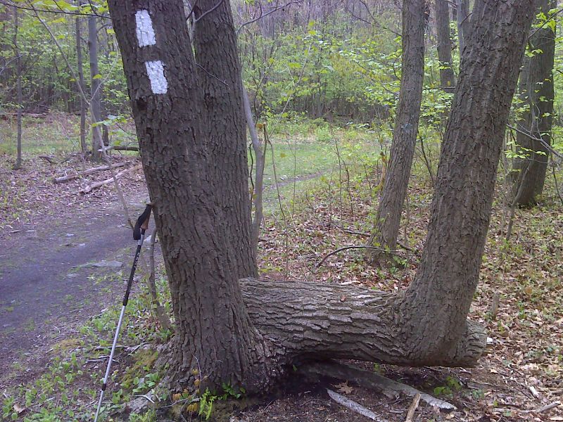 mm 8.8 Rest stop tree at woods road intersection south of Bake Oven Knob Rd.  GPS N40.7444 W75.7384  Courtesy pjwetzel@gmail.com