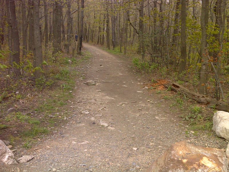 mm 8.4 Heavily used half mile of trail, parking lot to Bake Oven Knob.  GPS N40.7447 W75.7376  Courtesy pjwetzel@gmail.com