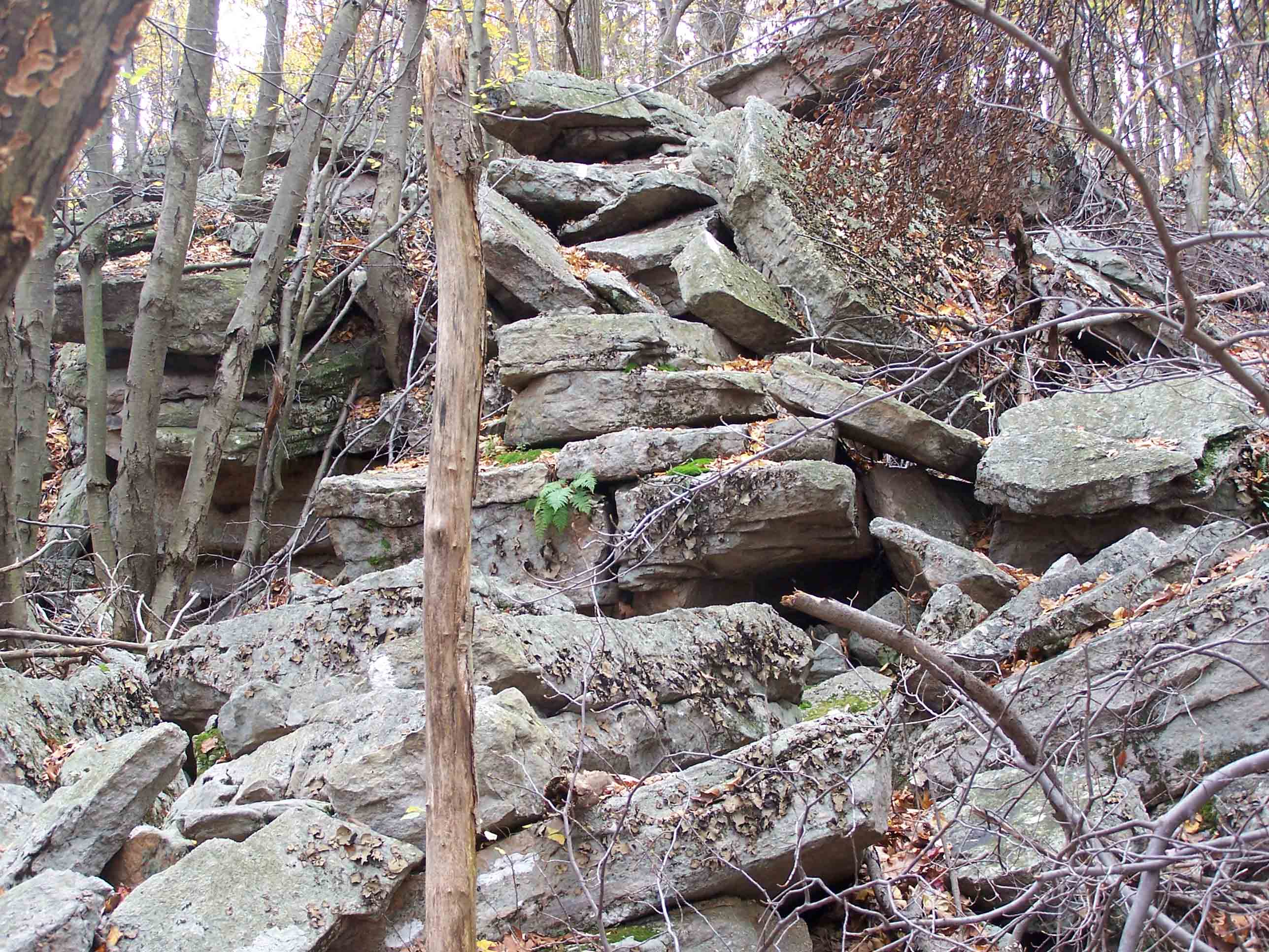 Trail over rocks. This is trail north of Dans Pulpit. GPS N40.6605 W 75.9395 Courtesy at@rohland.org