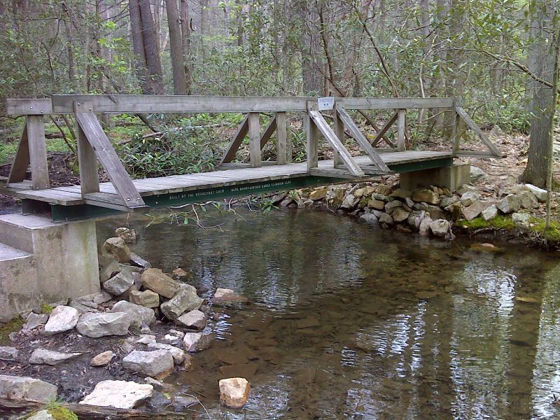 mm 11.2  Footbridge over Pine Creek tributary. GPS N40.6376 W75.9493  Courtesy pjwetzel@gmail.com