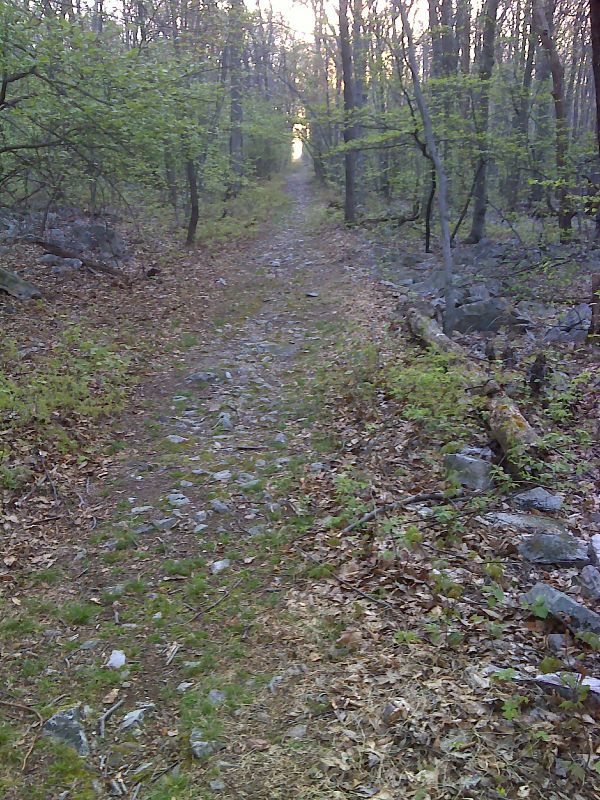 Long straight walk on old woods road just north of PA 183.  GPS N40.5282 W76.2164  Courtesy pjwetzel@gmail.com