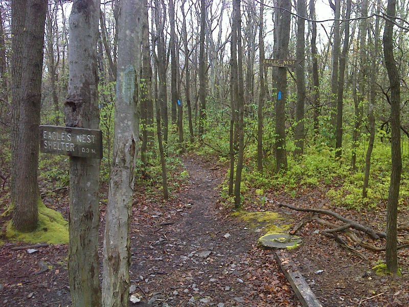 mm 8.6 Side Trail to Eagles Nest Shelter, GPS 40.5505 W76.1473  Courtesy pjwetzel@gmail.com