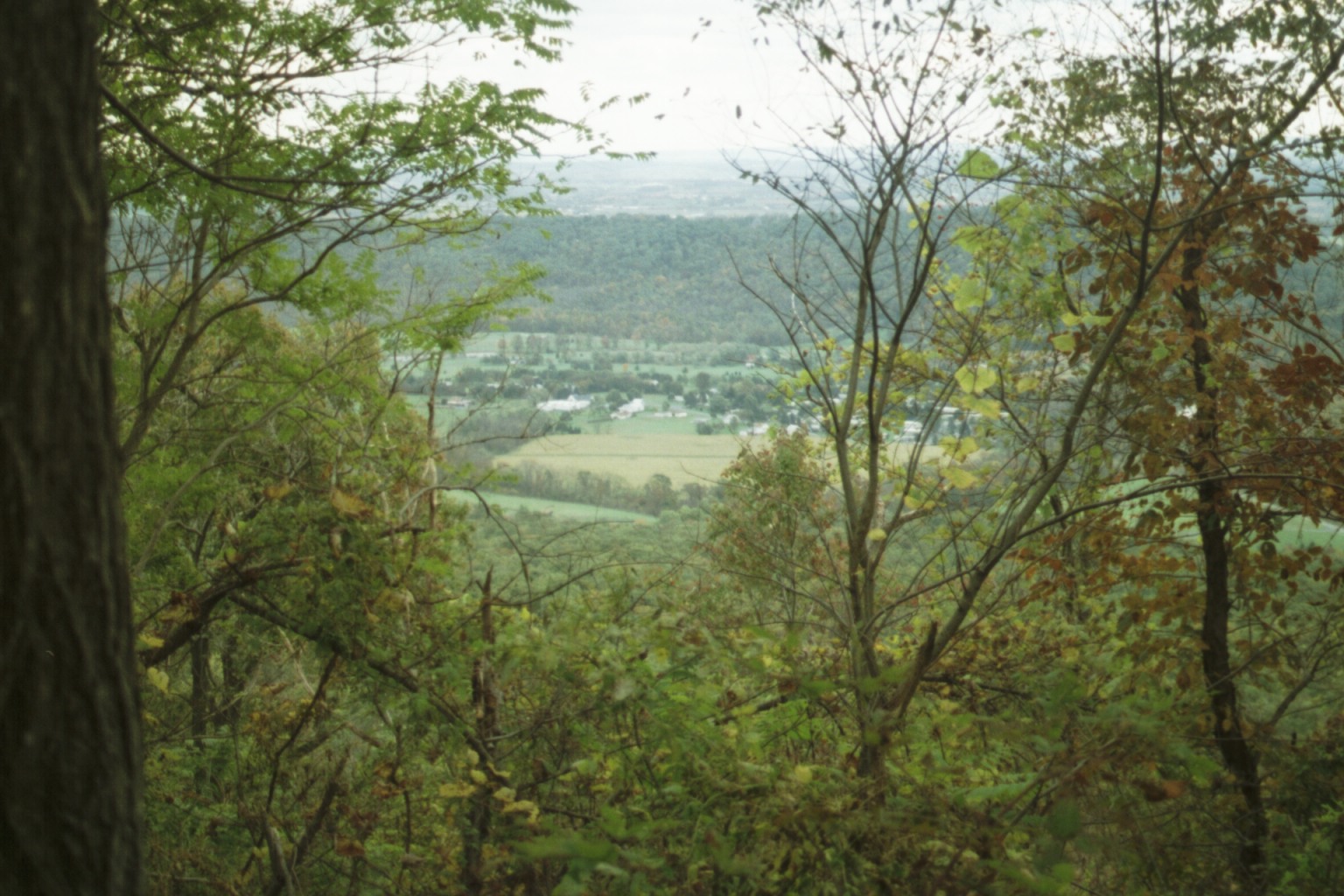Trail views north of Swatara Gap - south of William Penn Shelter. Courtesy at@rohland.org
