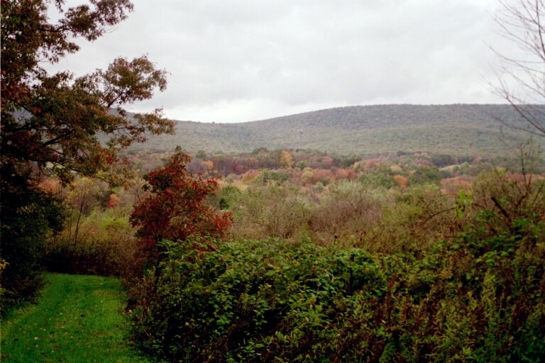 Fall view across field at approx. mm 1.2. Courtesy at@rohland.org