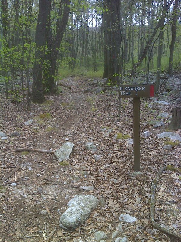 mm 16.9 Junction with red-blazed Henry Knauber Trail. GPS N40.4480 W76.7713  Courtesy pjwetzel@gmail.com