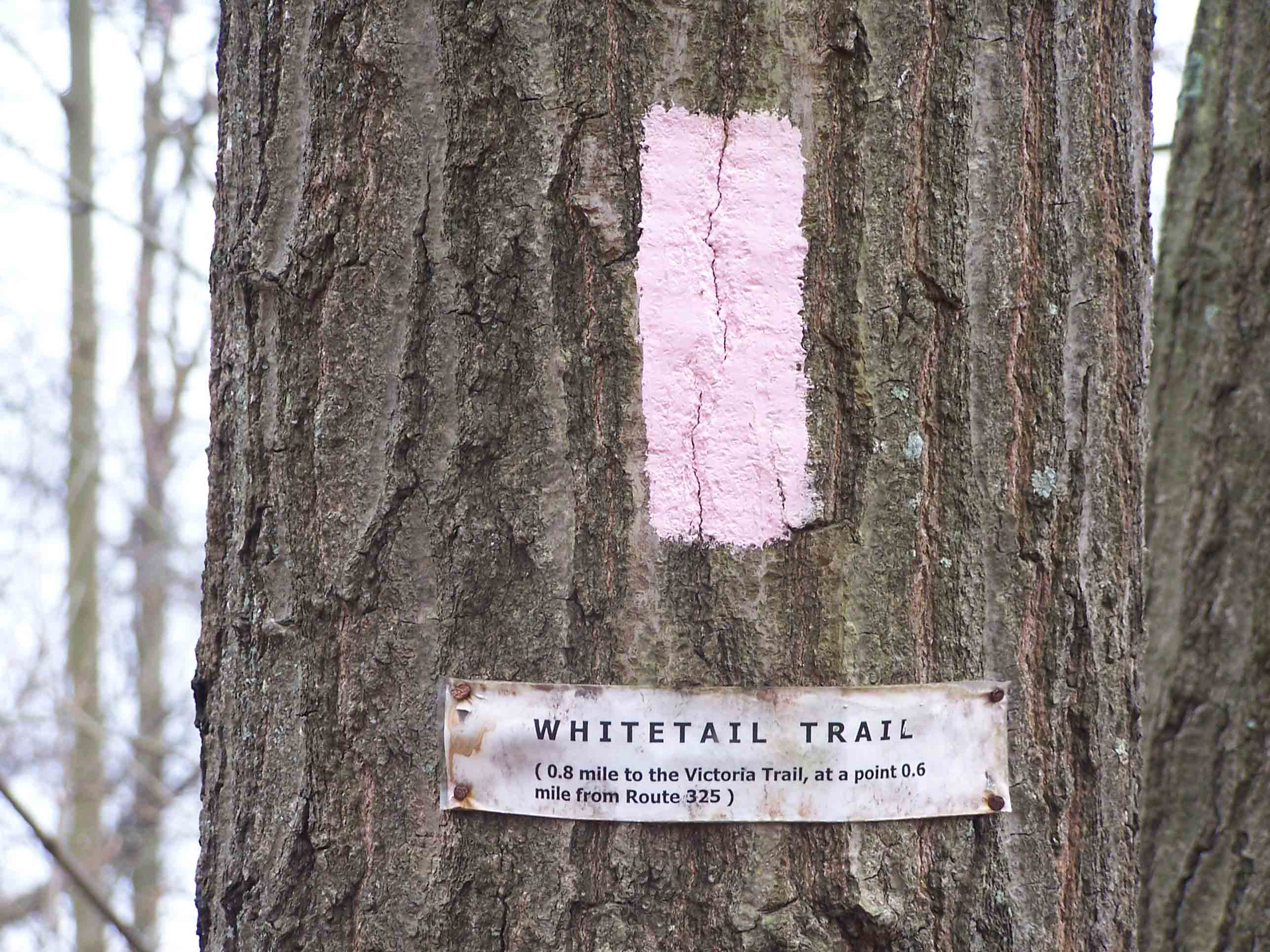 mm 5.1: Blaze and sign for the southbound Whitetail trail to Victoria Trail.  The paper sign has now been replaced with a nice wood sign. Courtesy at@rohland.org 