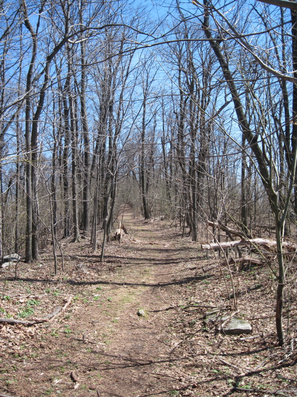 The trail follows this old road for about a quarter-mile just
east (trail north) of the powerlines at mm 13.1.  Courtesy
dlcul@conncoll.edu
