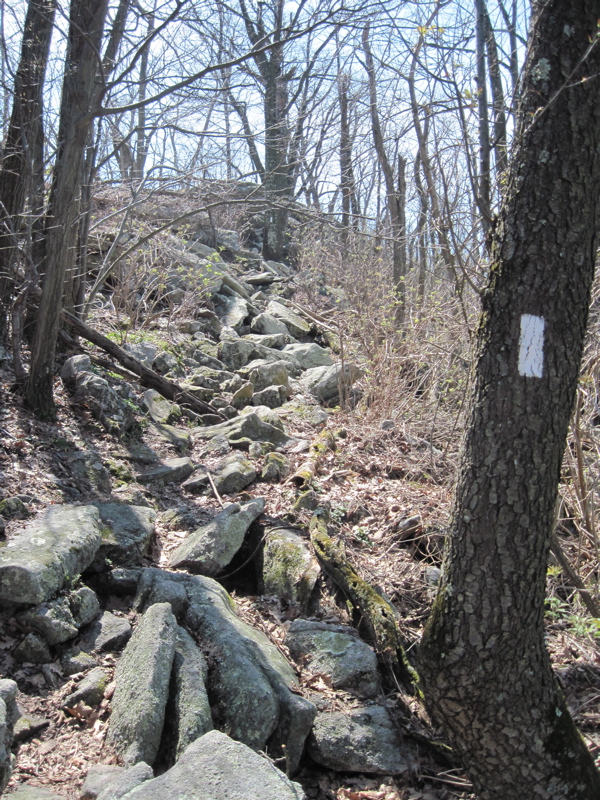 Rocksylvania strikes again!  Rocky section at approx. mm 13.8
Courtesy dlcul@conncoll.edu