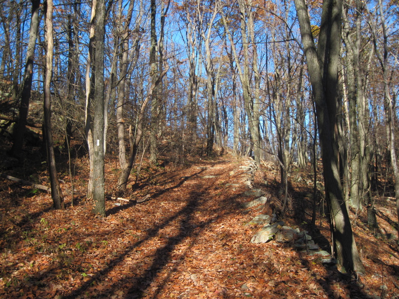 The northbound AT joins an old cross-mountain road,  portions of which are now followed by the Victoria Trail.  Taken at approx. mm 5.8  Courtesy dlcul@conncoll.edu