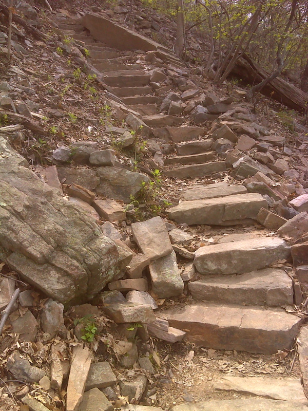 mm 3.1  New stone steps on AT  as the southbound trail climbs steeply from Duncannon to Hawk Rock.  GPS N40.39.3776 W77.0398   Courtesy pjwetzel@gmail.com